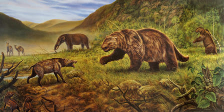 Arctic Scene