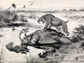 smilodon_and_canis_dirus-saber-tooth_and_dire_wolf