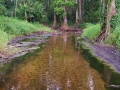 streamflow_changes_along_upper_peace_river_fl_3