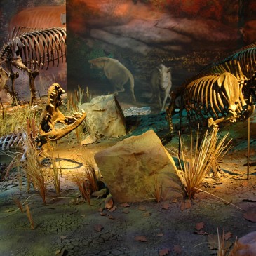 Cutler Fossil Site