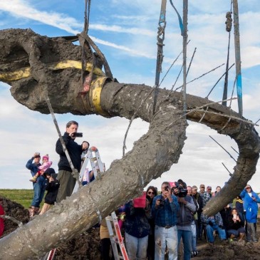 Mammoth Discovery Could Revise Earliest Date of Humans in the Americas