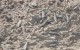 171201143550-china-dinosaur-egg-exlarge-169